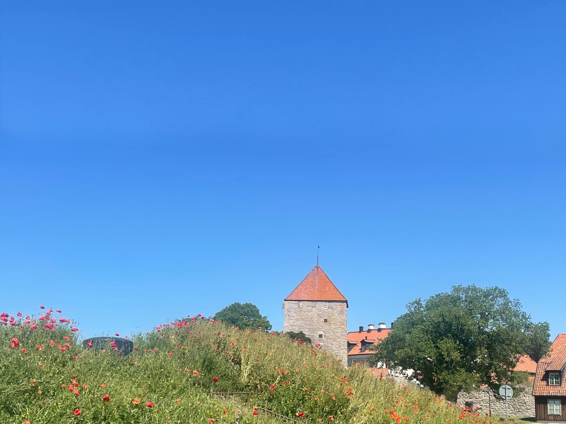 Partk at Gotland
